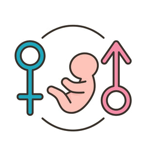 Fertility Support