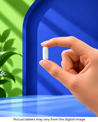 ALCAR CAPSULE 500MG The Smart Choice For Brain & Body Vitality